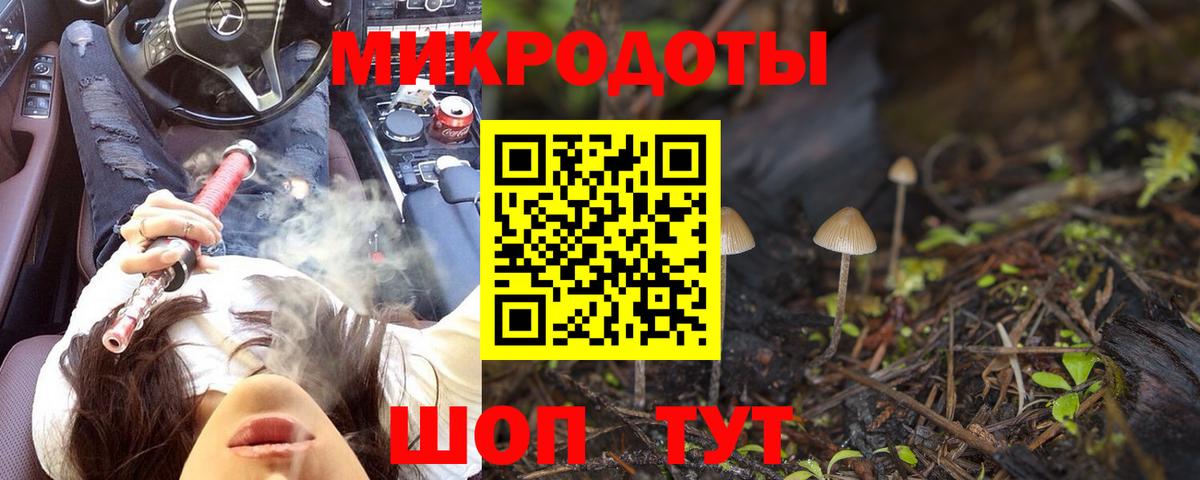 Псилоцибиновые грибы мицелий Октябрьский